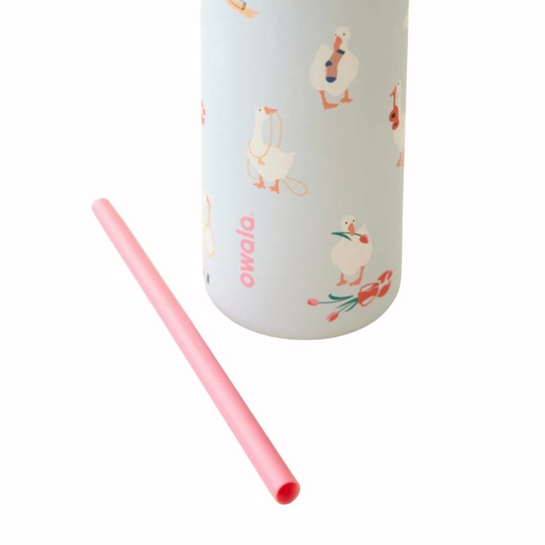 Owala Exclusive Print Goose - 32oz